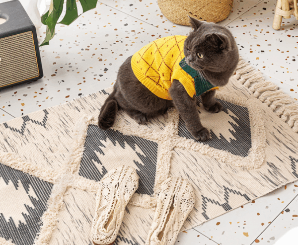 Retro Moroccan Geometric Pattern Cotton and Linen Area Rug with Tassel Handwoven Floor Carpet Rug for Living Room Bedroom 15 - Image 3